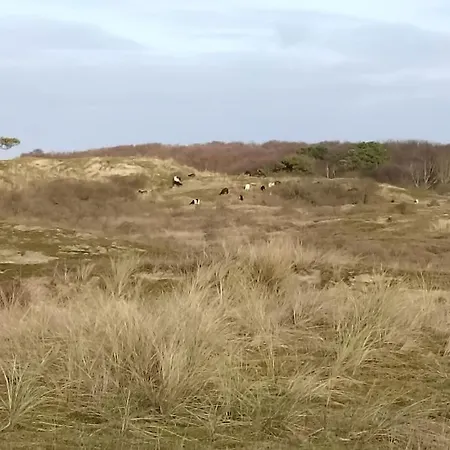 Petite Maison Sur Terrain Clos A 200 M De La Prázdninový dům *