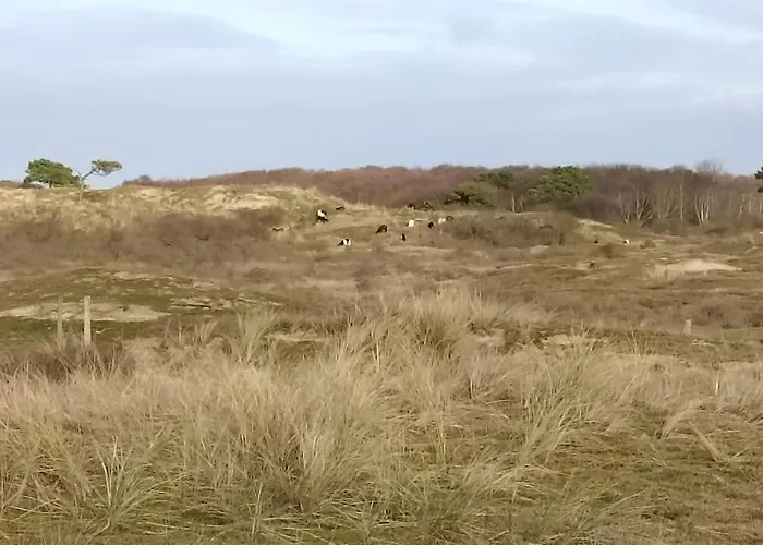 Petite Maison Sur Terrain Clos A 200 M De La Сasa de vacaciones *